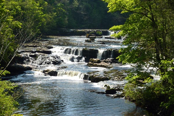 Aysgarth-Falls.jpg