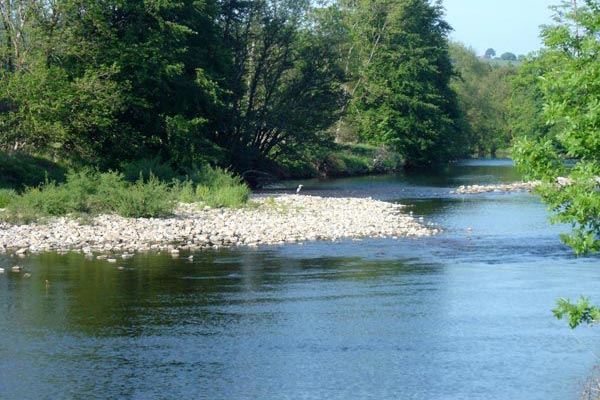 Walking-Along-River-Ure-Wensley-Village-Wensleydale.jpg